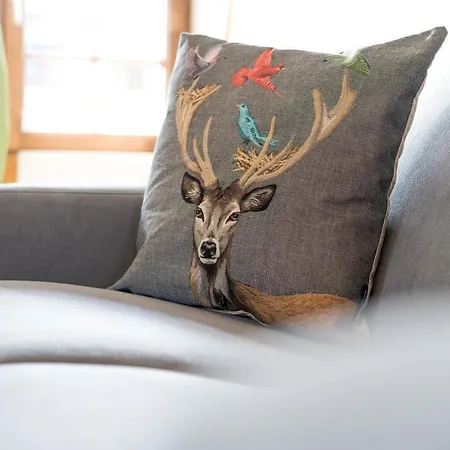 Schneeheide * Oberstdorf