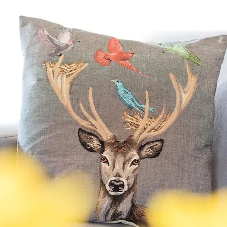 Schneeheide * Oberstdorf